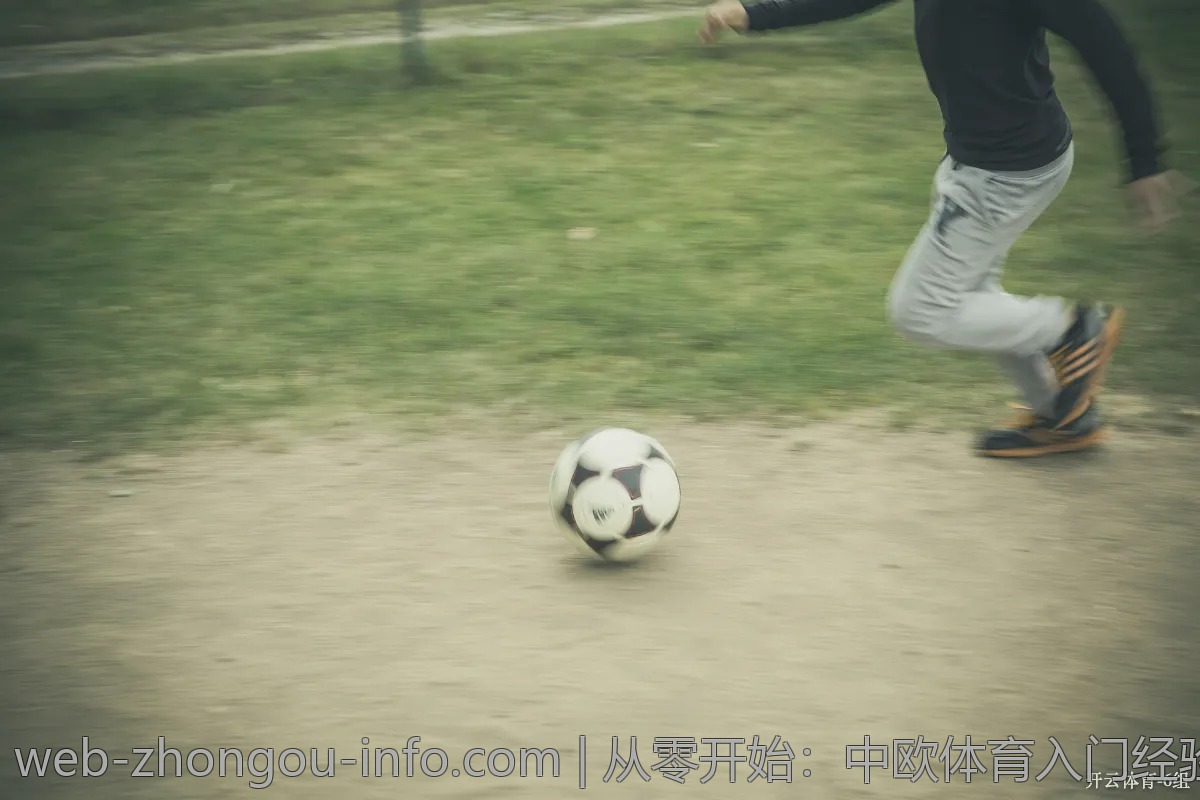 从零开始:中欧体育入门经验分享