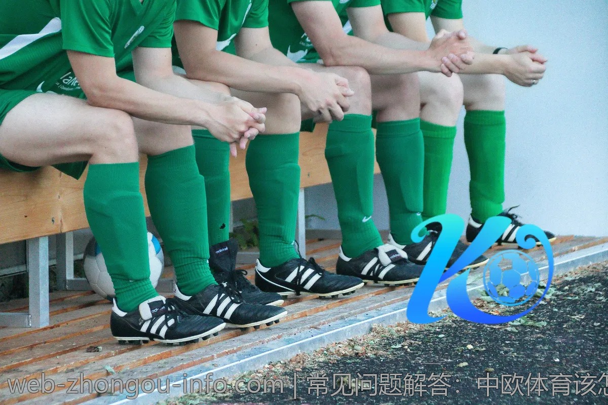 常见问题解答:中欧体育该怎么玩?